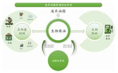 賣“地溝油”的準獨角獸沖刺IPO了!