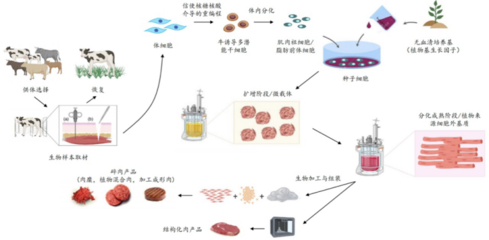 226起投融資、52個(gè)過(guò)億項(xiàng)目.食品飲料行業(yè)有哪些潛力賽道值得挖掘?